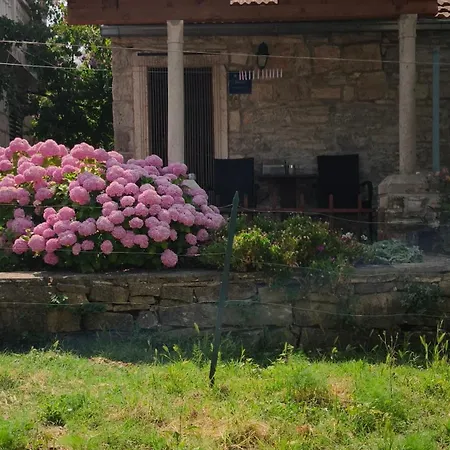 Lägenhet Rustical Apartment *