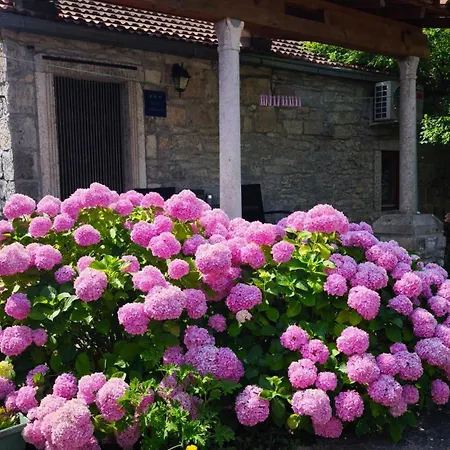 Lägenhet Rustical Apartment