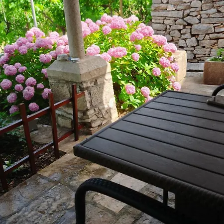 Apartamento Rustical Zrnovo