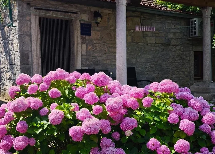 Rustical Appartamento