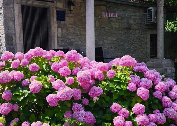 Appartamento Rustical