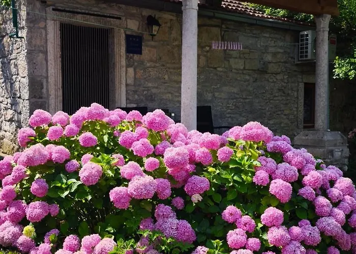 Rustical Appartamento *